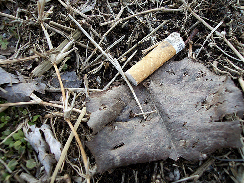 01.25.08 cig
