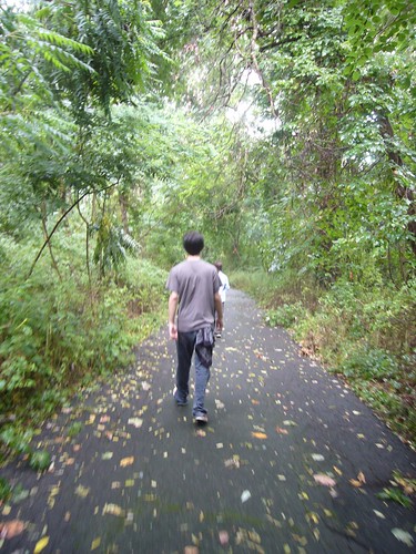 walking