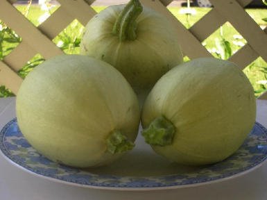 Spsquash1_3